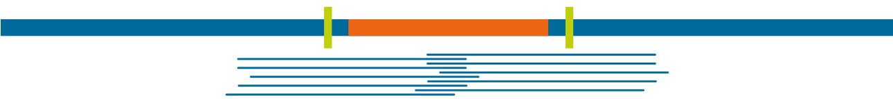 slides for tech page target knownregion